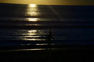 DSC_1263 (Large).JPG